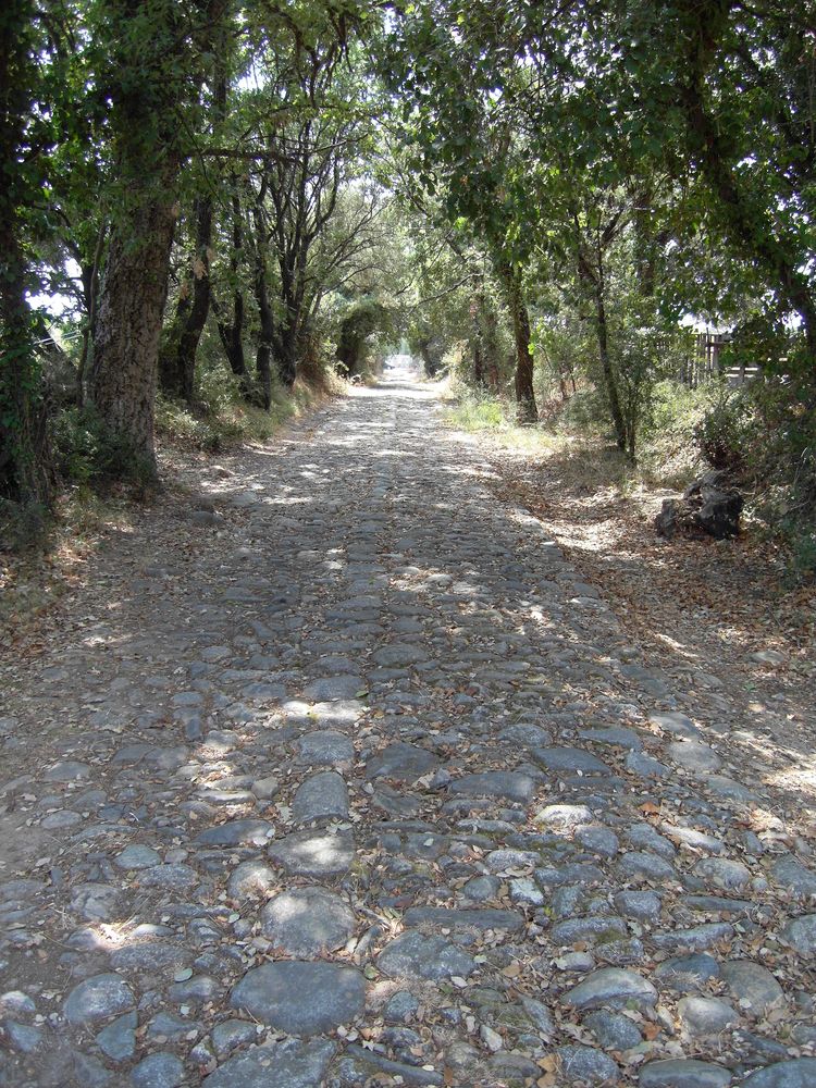 094 - Voie romaine au Sud d-Aleria.JPG
